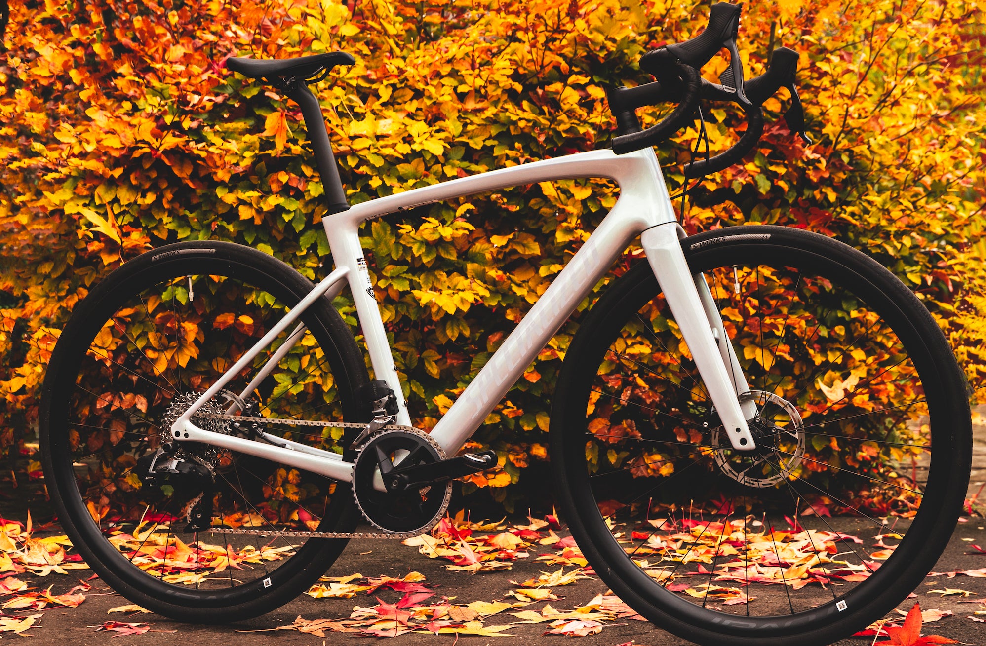 Roubaix bike online