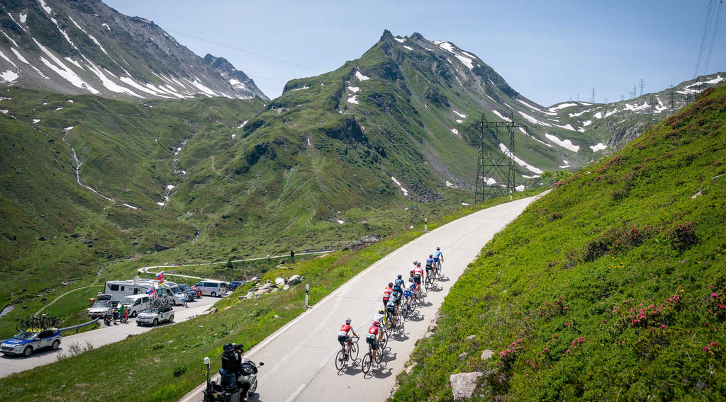 Dauphiné form and history suggest Jumbo-Visma are on track for the Tour -  Stelvio Magazine