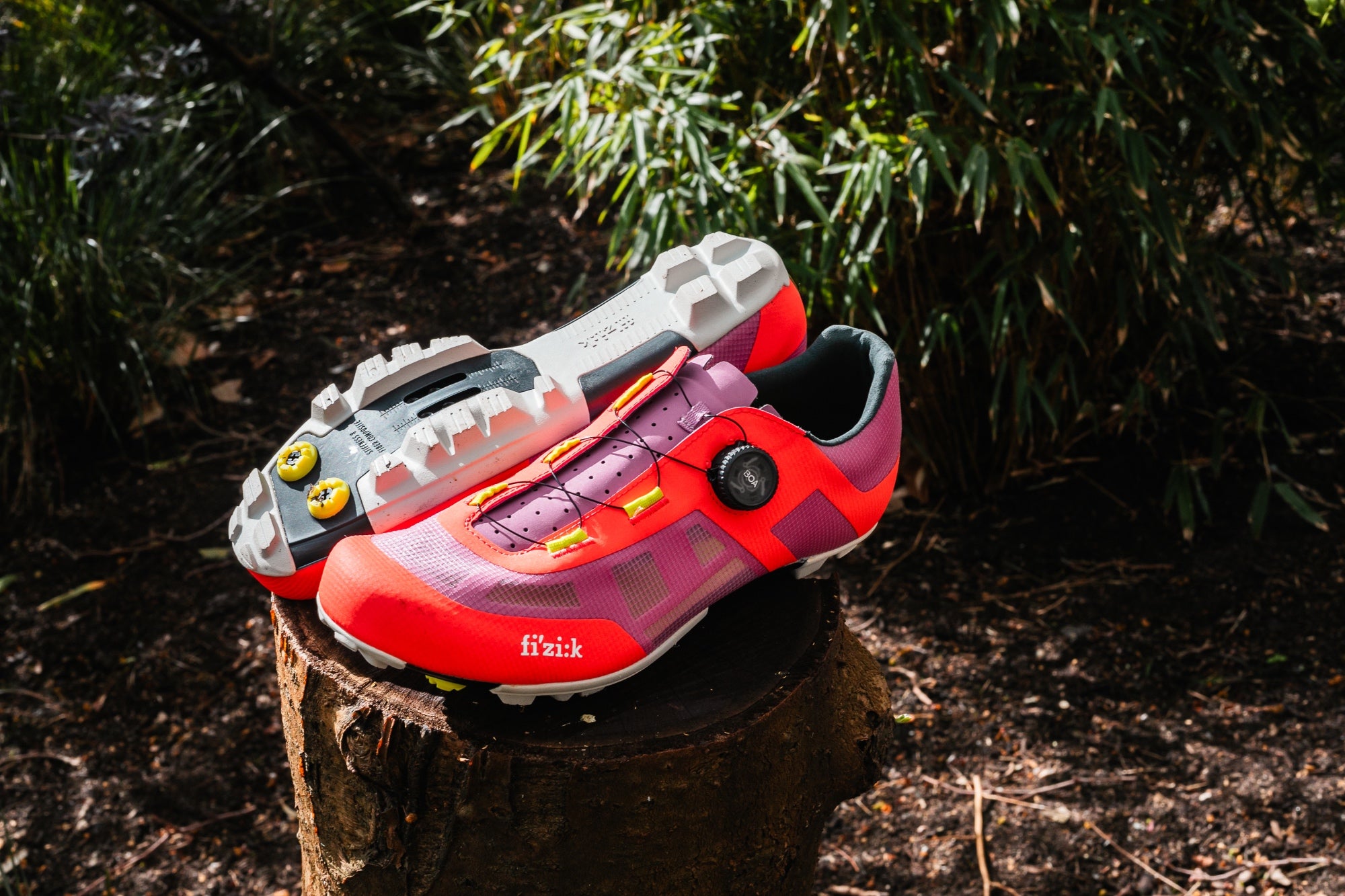 Fizik Vento Proxy shoes on a tree stump