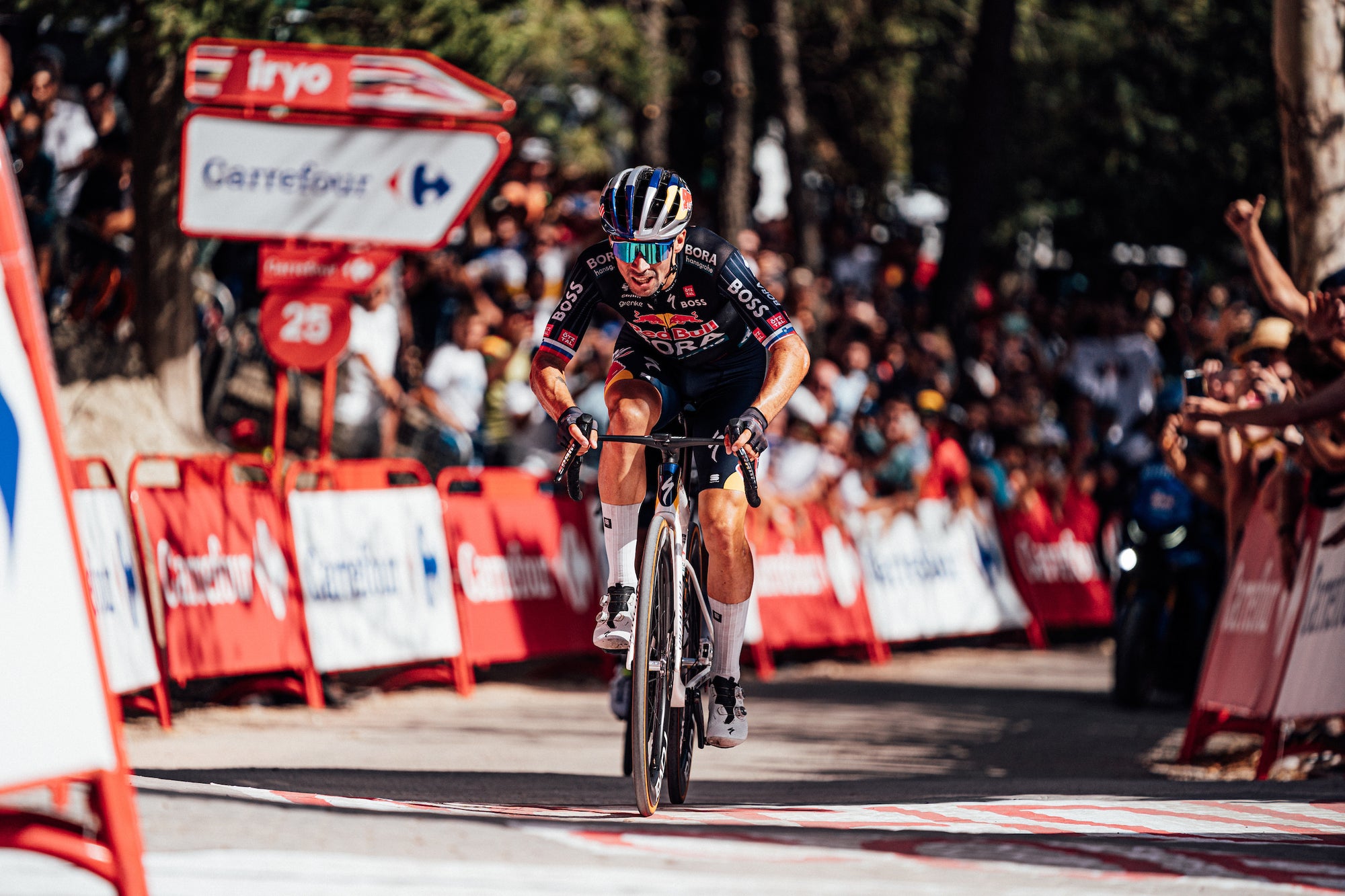 Roglič bites back: the fight for the Vuelta is on