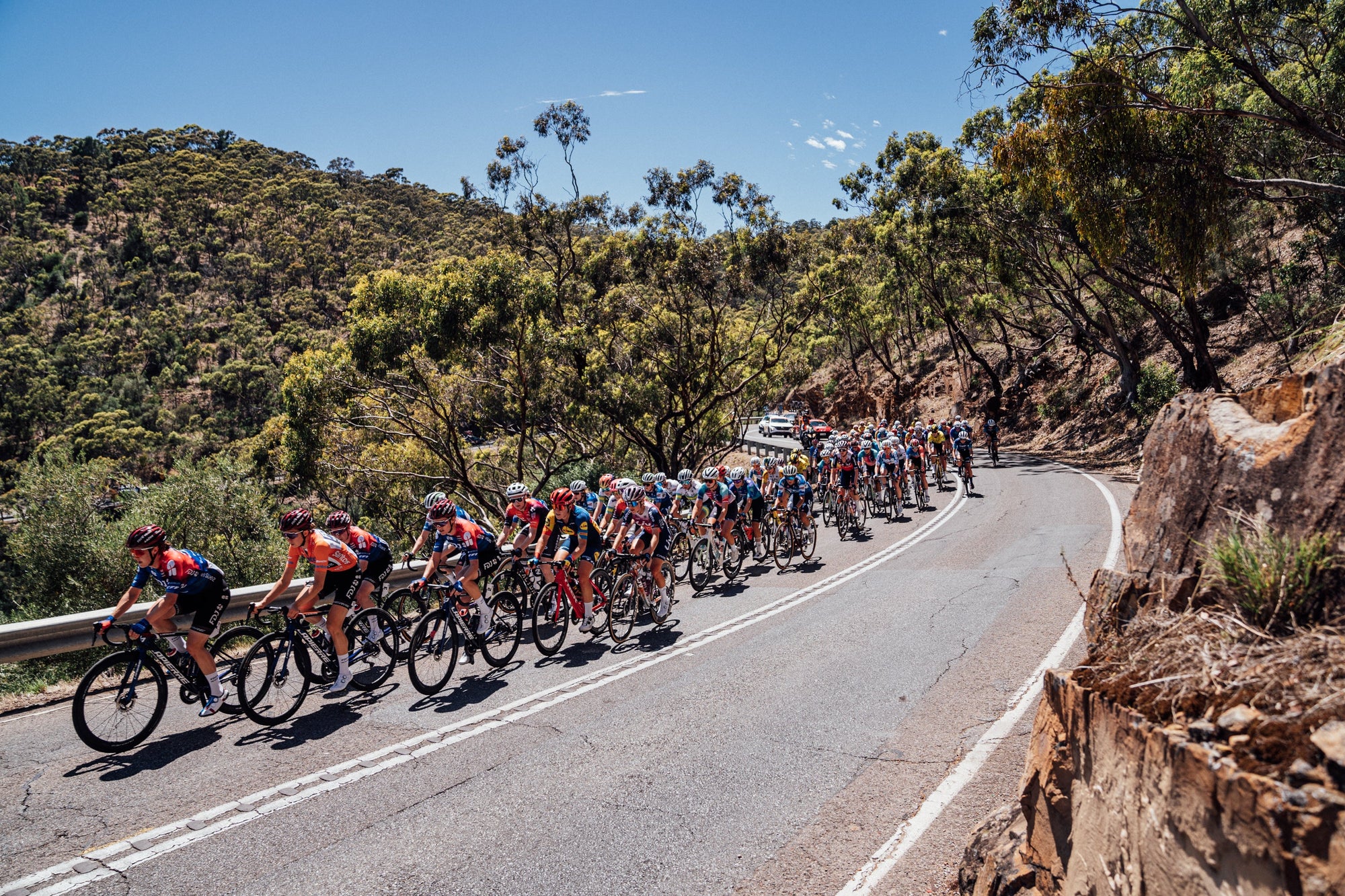 Women’s Tour Down Under 2025 preview: Who will win the first race of the season?