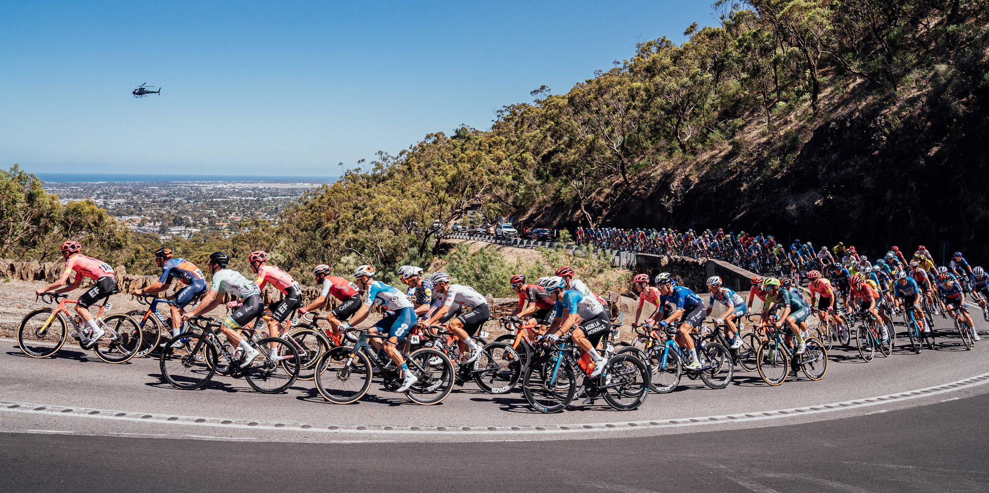 Anteprima Tour Down Under maschile 2025 Chi vincerà? Rouleur