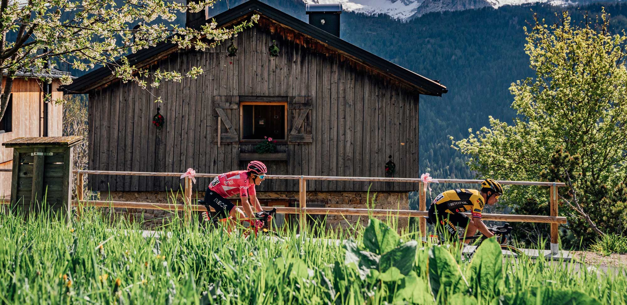 Back to his best: Has Primož Roglič timed things to perfection at this Giro d’Italia?